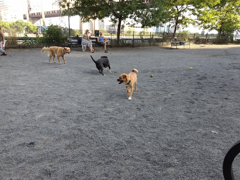Andrew Haswell Green Dog Park - New York, NY