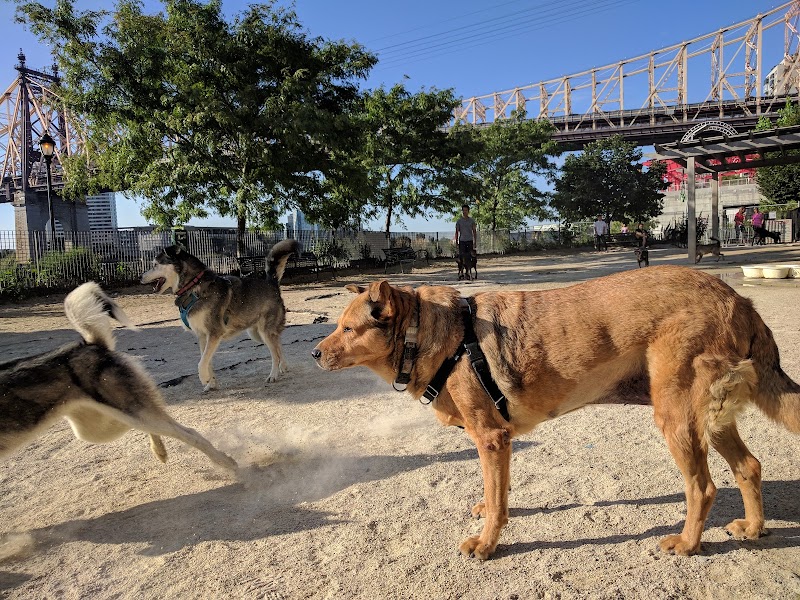 Andrew Haswell Green Dog Park - New York, NY