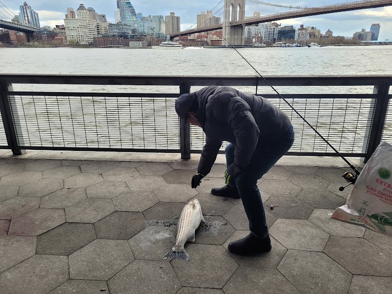East River Greenway - New York, NY