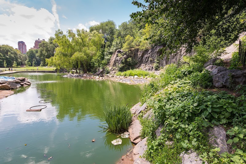 Friends of Morningside Park - New York, NY