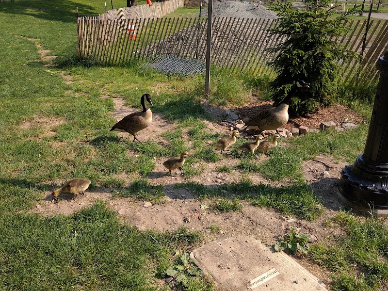 Friends of Morningside Park - New York, NY