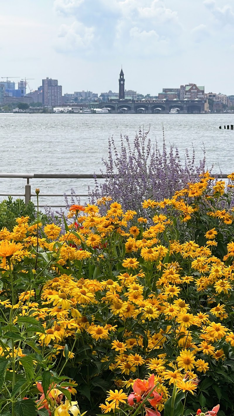 Leroy Dog Run - New York, NY
