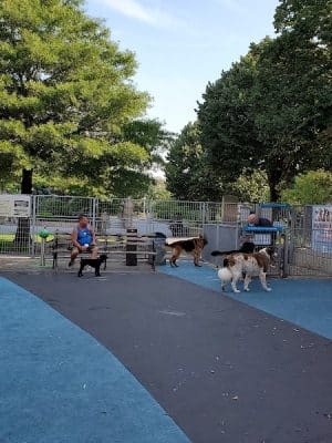 Leroy Street Dog Park