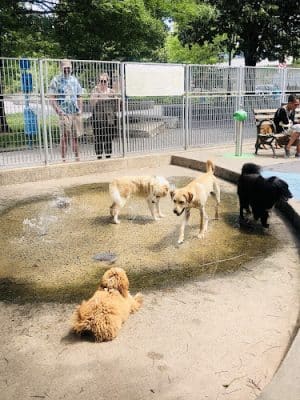 Leroy Street Dog Park