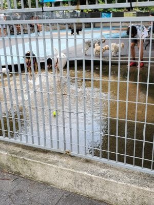 Leroy Street Dog Park