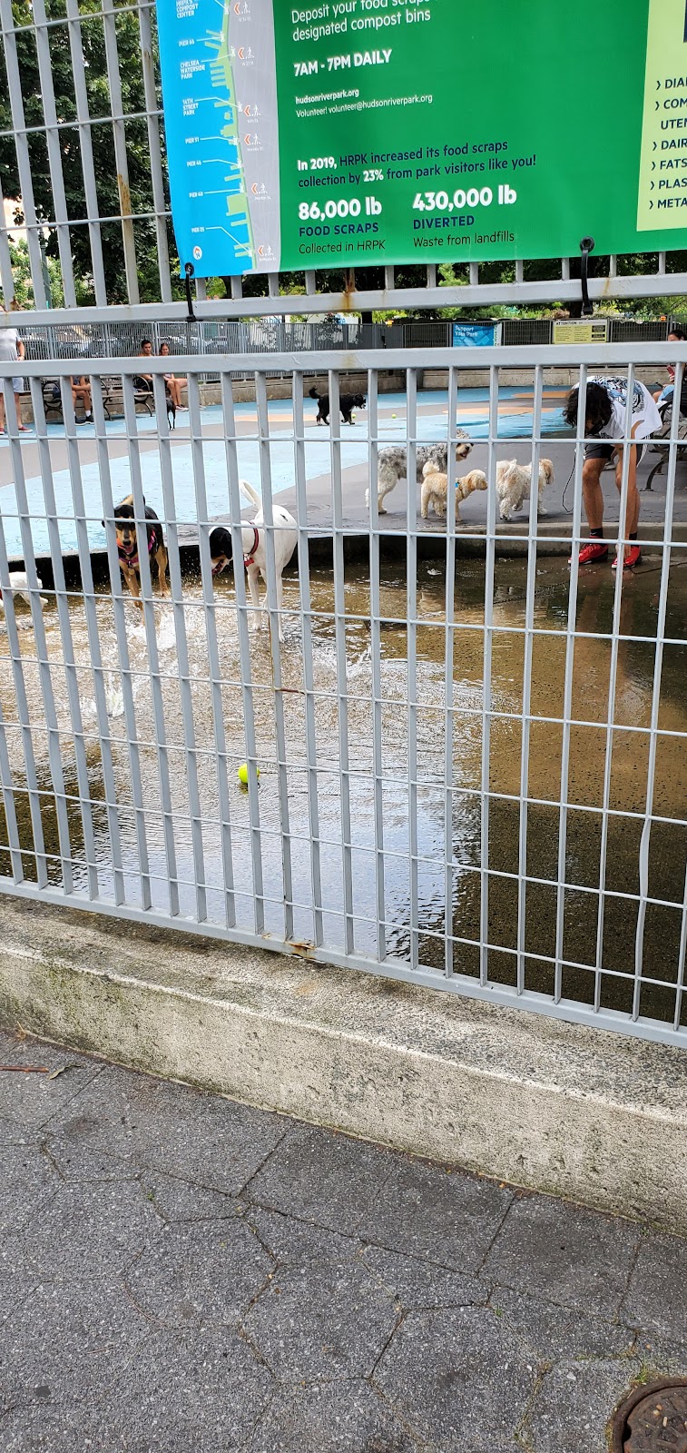 Leroy Street Dog Park - New York, NY