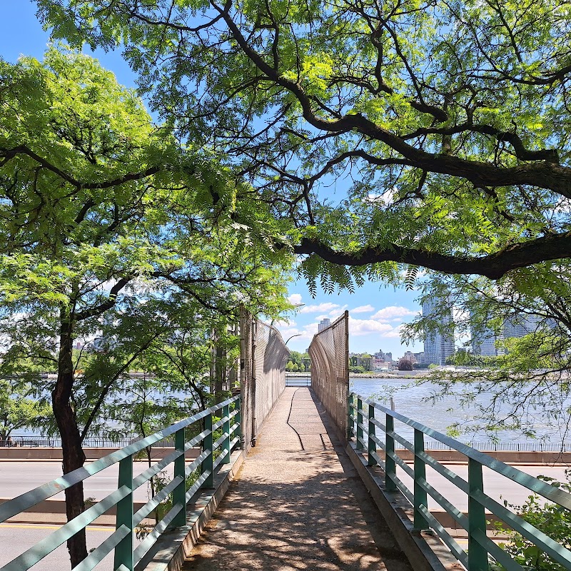 Peter Detmold Park - New York, NY