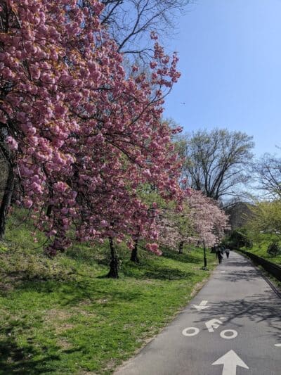 Riverside Park - New York, NY