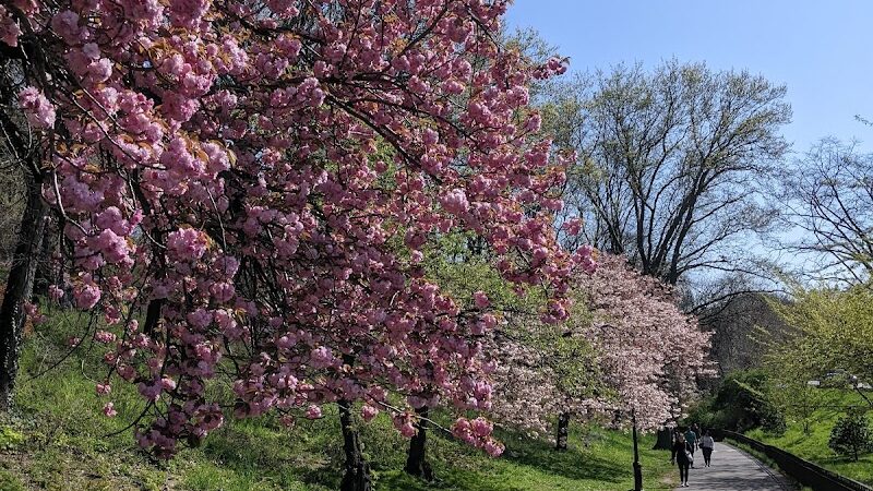 Riverside Park - New York, NY