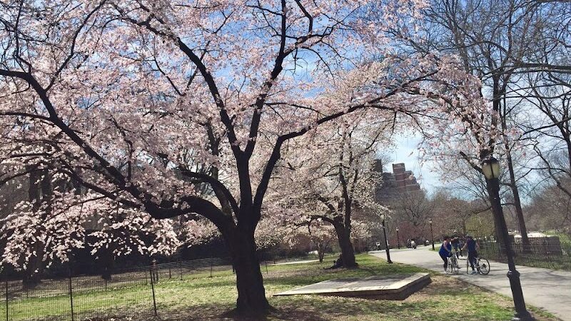 Riverside Park Conservancy - New York, NY