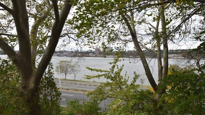 Riverside Park Conservancy - New York, NY