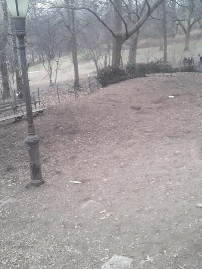 St. Nicholas Park Dog Run - New York, NY
