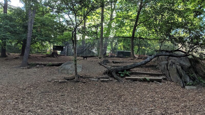 St. Nicholas Park Dog Run - New York, NY