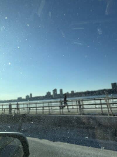 West 87th Street Dog Run - New York, NY