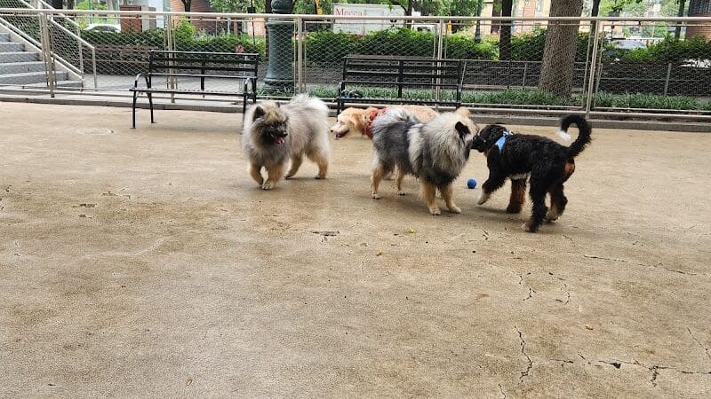 West Thames Dog Run - New York, NY