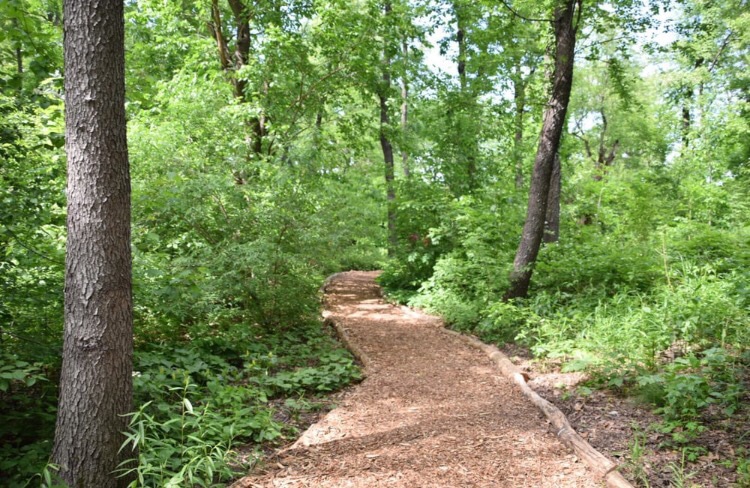 Hallett Nature Sanctuary - New York, NY