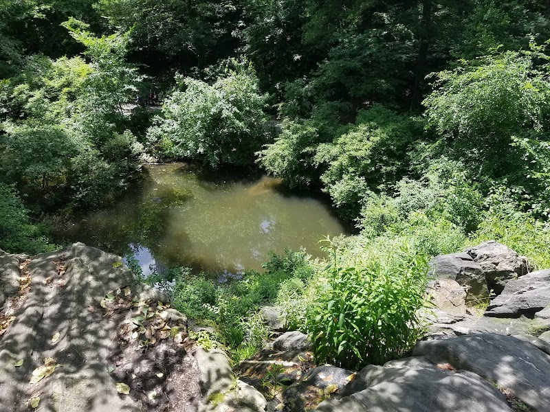 Hallett Nature Sanctuary - New York, NY