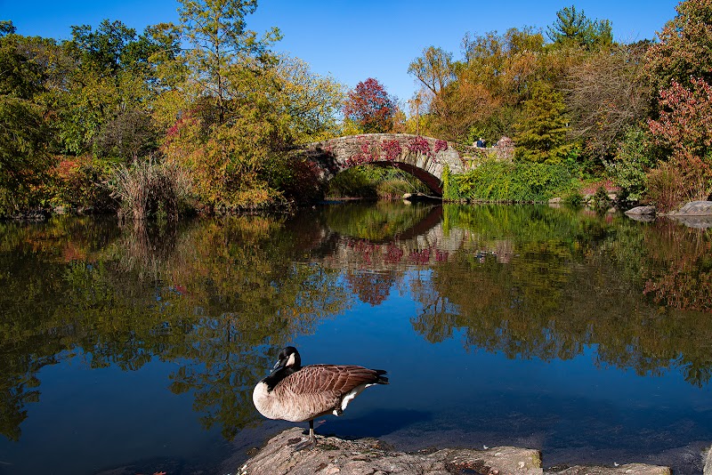 Hallett Nature Sanctuary - New York, NY