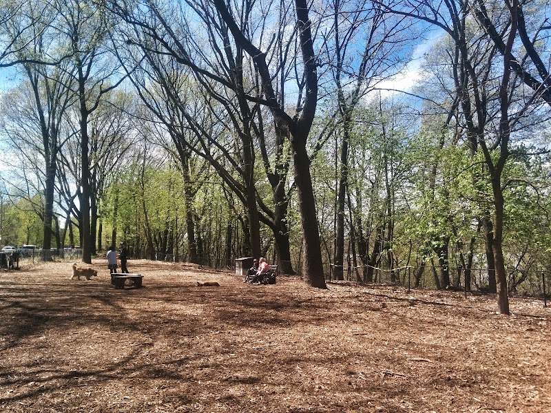 Rocky's Dog Run - New York, NY