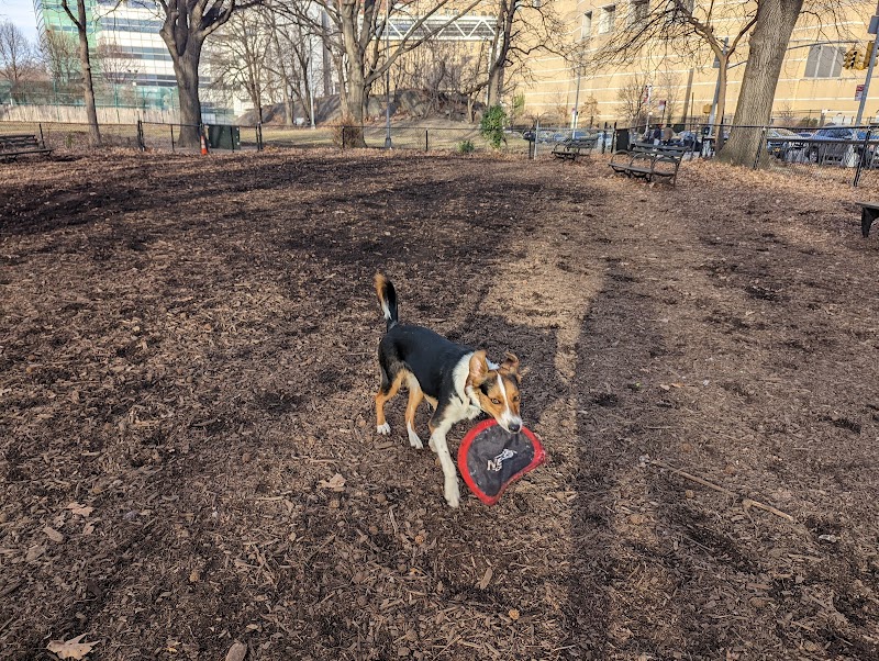 Rocky's Dog Run - New York, NY