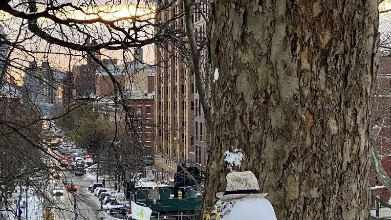 St. Nicholas Park - New York, NY
