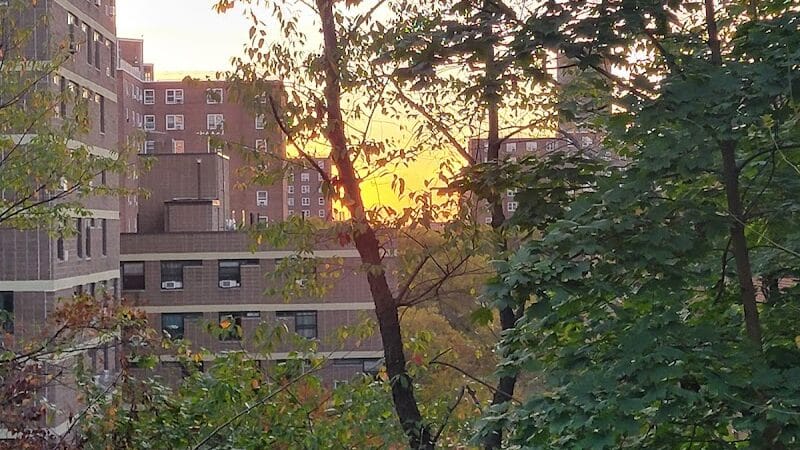 St. Nicholas Park - New York, NY
