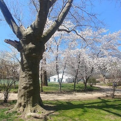 Independence Park - Newark, NJ