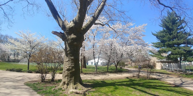 Independence Park - Newark, NJ