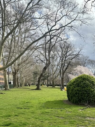 Independence Park - Newark, NJ