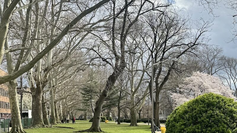 Independence Park - Newark, NJ