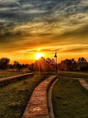 Friedman Park
