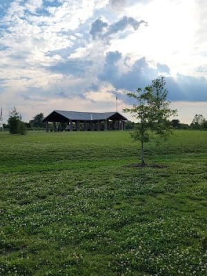 Friedman Park