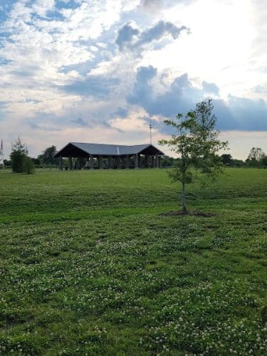 Friedman Park