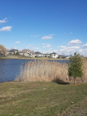 Friedman Park