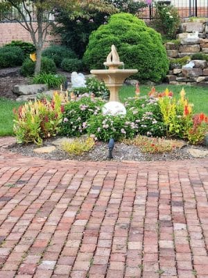 God’s Garden