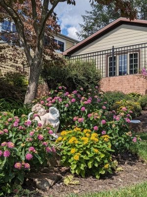 God’s Garden