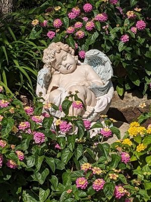 God’s Garden