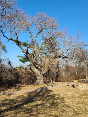Indian Hill Overlook Park