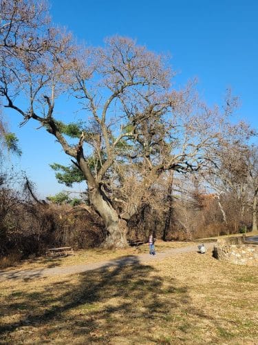 Indian Hill Overlook Park