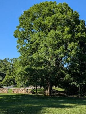 Indian Hill Overlook Park