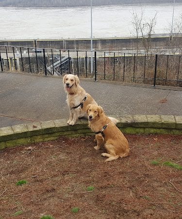 Newburgh Locks & Dam