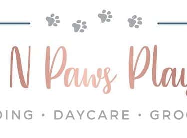 Pups N Paws Playcare
