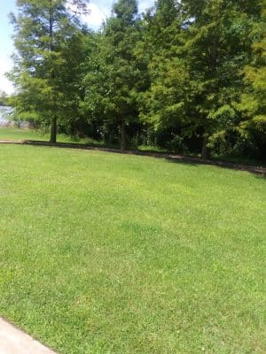 Rivertown Trail