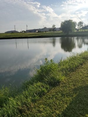 Vann Park Pond