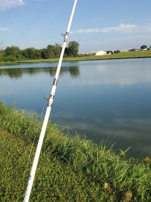 Vann Park Pond
