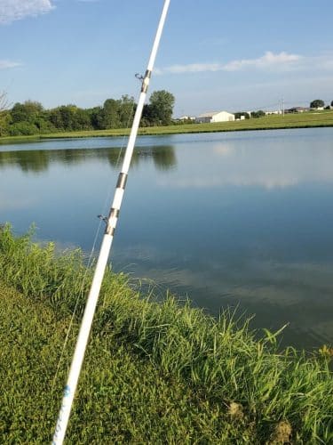 Vann Park Pond