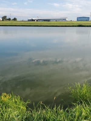 Vann Park Pond