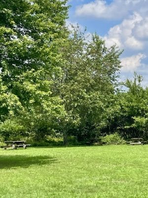 Warrick Trails Anderson Trailhead