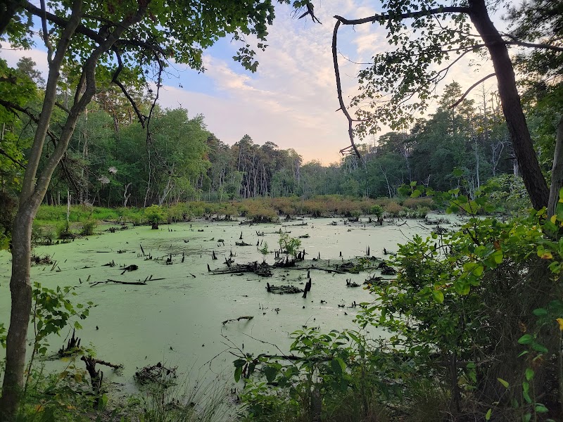Piney Hollow Preservation - Newfield, NJ