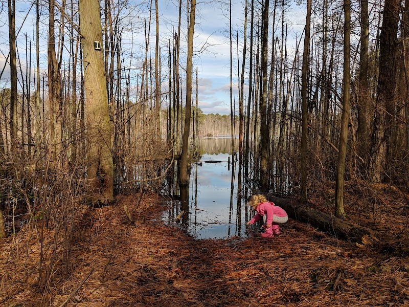 Piney Hollow Preservation - Newfield, NJ
